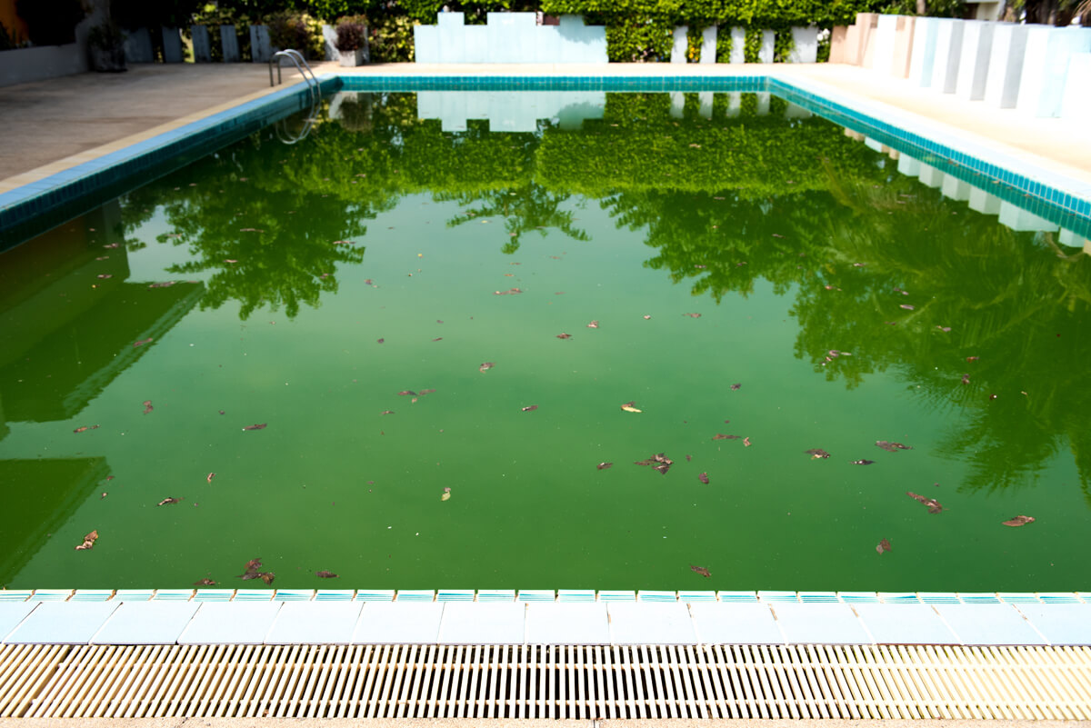 Traitement et entretien piscine morbihan