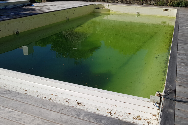 Piscine eau verte